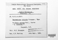 Image Associated With the Occurence